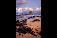 JKD_2024_Narooma_1504-Edit_HP