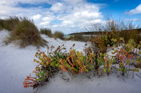 JKD_2025_Bremer_Bay_3114-Edit