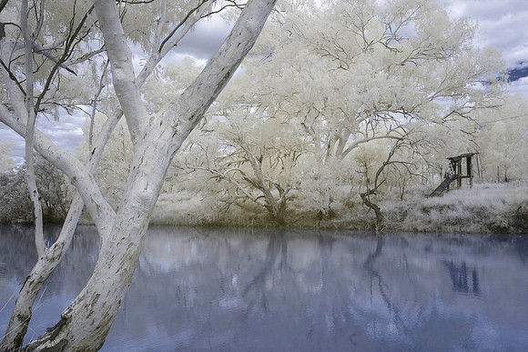 Warrego River Blues