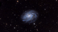 NGC300