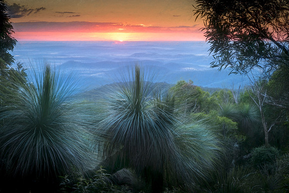 JKD_2016_Bunya_Mts-6512-Edit-2