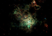 Tarantula_Nebula_NGC_2070_Final2