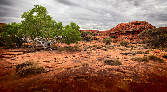 JKD_2019_Kings Canyon_4131-Master
