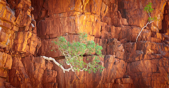 JKD_2019_Glen_Helen_Orminston_4325-Master-Master