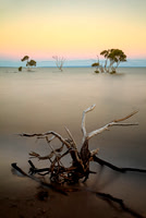 Silent Sunset