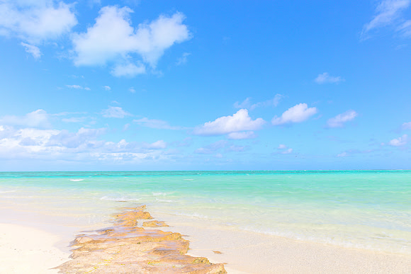 Heron Island Pastals