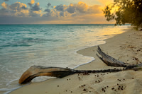 JKD_2018_Heron_Island-9549_v1-Edit