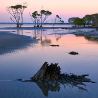 Beachmere Morning