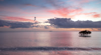 Pastal Sunrise