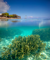 JKD_2019_Heron_Island_3291-Master