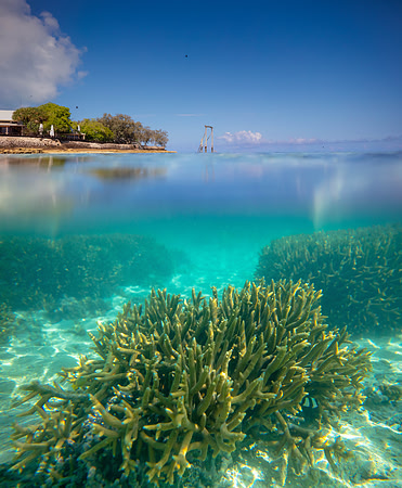 JKD_2019_Heron_Island_3291-Master