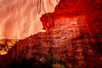 Dreamtime Tracks