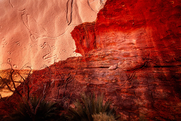Dreamtime Tracks