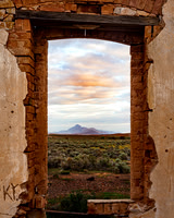 Looking Out