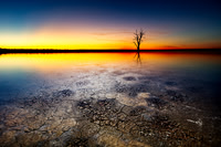 Of Droughts and Flooding Rain