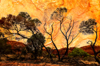 Layers in Kings Canyon