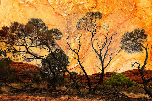 Layers in Kings Canyon