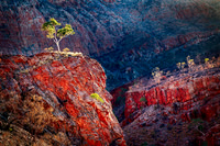 Ormiston Gorge Ancestors