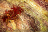 Red Ochre