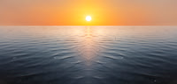 Dawnings