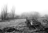 Old Cart and Fog
