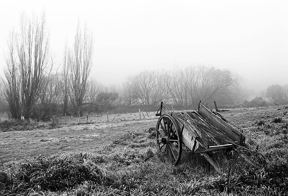 Old Cart and Fog