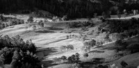 IMG_2902-Edit