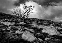 Falls Creek Morning 2