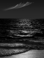 JKD_2018_Heron_Island-9663-Master
