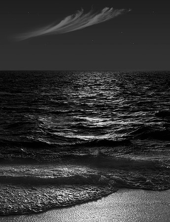 JKD_2018_Heron_Island-9663-Master