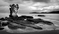 Photographers Rock